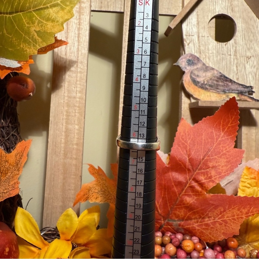 Sterling Silver Landscape Jasper Statement Ring - image 6